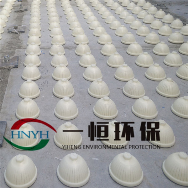 ʯӢɰ�˳��˰���ͷ��װ�ֳ�