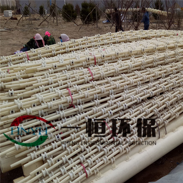 ����Ĥ�����������ֳ�