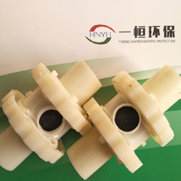 ����Ĥ������